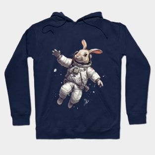 Rabbit the Space Hoodie